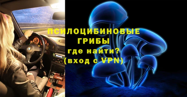 не бодяженный Няндома