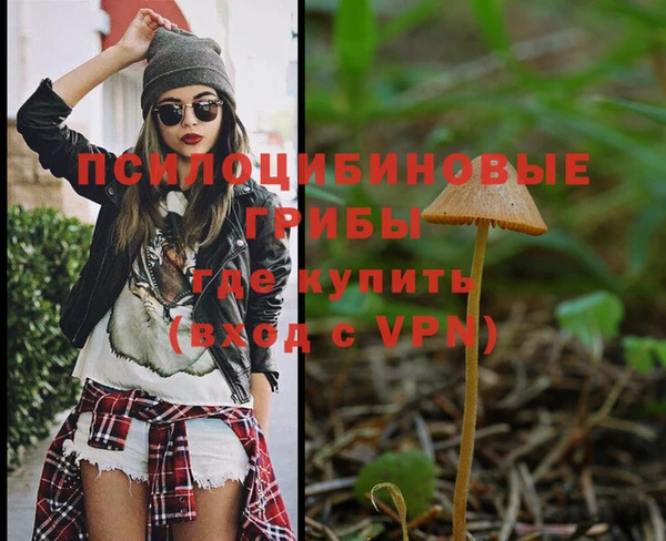 круглые Нягань