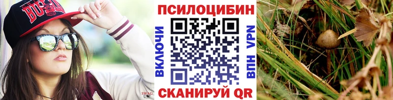 Галлюциногенные грибы ЛСД  купить закладку  Оренбург 