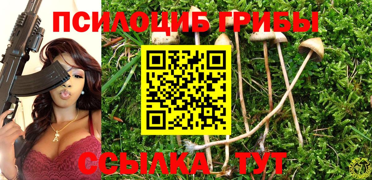 Псилоцибиновые грибы Cubensis  Вход с VPN  Оренбург 