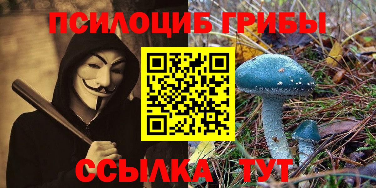 Галлюциногенные грибы мицелий Оренбург
