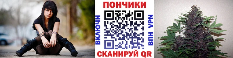 Бошки Шишки конопля Оренбург
